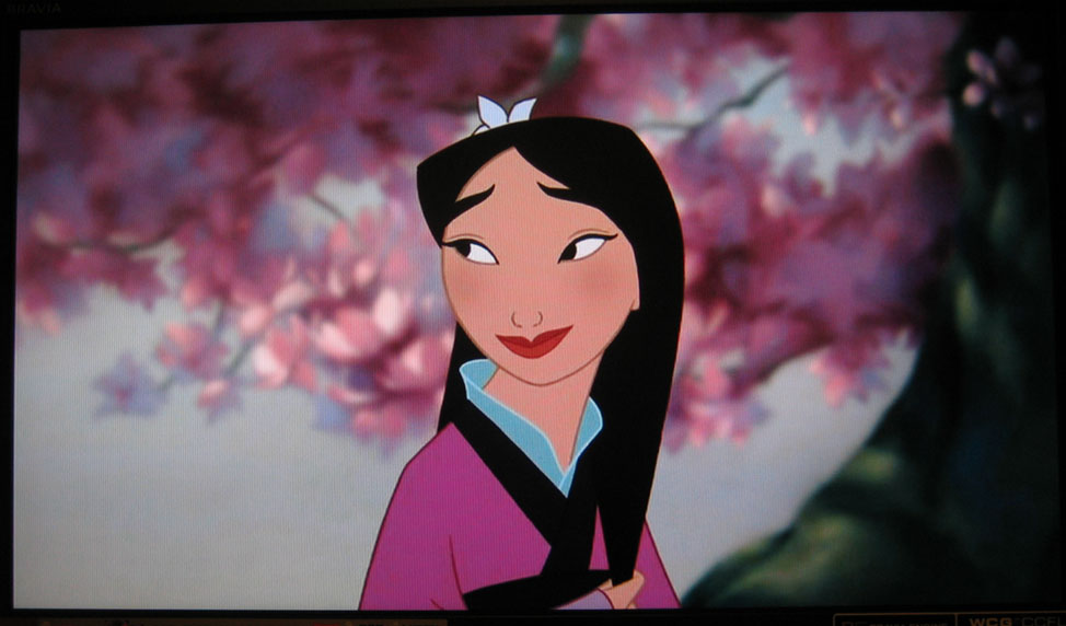 mulan ii dvd